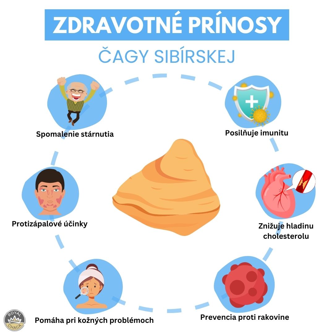 Zdravotné prínosy Čagy